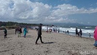 Bagi traveler yang penasaran, ayo segera berkunjung ke Pantai Batu Pampang sekaligus menyaksikan buaya di Desa Emang Lestari. Mumpung lagi musim liburan panjang Lebaran Idul Fitri (Harianto/detikcom)