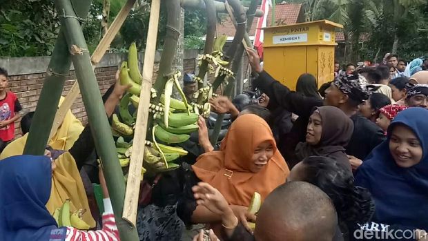 Warga berebut buah pisang di ritual barong ider bumi/