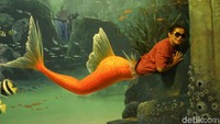 Magic Art 3D Museum Jakarta bisa dikunjungi setiap hari pukul 10.00-22.00 WIB.