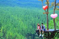 Ini Spot Instagramable yang Hits di Lembang