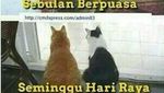 Jangan Baper! Ini Meme Sindiran Buat yang Kalap Makan Saat Lebaran