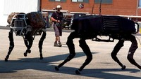 Anjing robot ini diproduksi oleh Boston Dynamics. Anjing robot ini sempat viral karena gerakannya yang hidup melakukan tugas sehari-hari, seperti membuka pintu atau bekerja di mesin cuci piring dengan presisi. Foto: Dok. Boston Dynamics