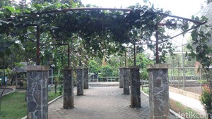 6 Kota Sejuk di Indonesia yang Cocok buat Pensiunan