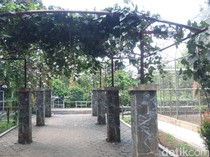 6 Kota Sejuk di Indonesia yang Cocok buat Pensiunan
