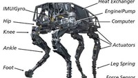 Perusahaan belum mengungkapkan dan detail tambahan, seperti berapa biaya robot anjingnya. Tetapi Boston Dynamics sebelumnya mengatakan dalam konferensi TechCrunch bahwa hanya 100 bot akan tersedia untuk dibeli saat peluncuran. Tertarik? Foto: Dok. Boston Dynamics