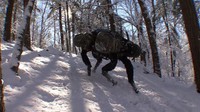 Robot anjing pintar tersebut dilaporkan saat ini sedang menjalani pengujian konsep bukti di berbagai lingkungan. Foto: Dok. Boston Dynamics