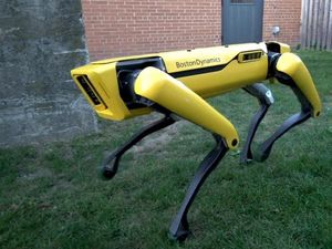 Heboh! Ada Robot Anjing Berjalan-jalan di Pantai Florida
