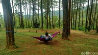 Keindahan alamnya tidak kalah dengan daerah lainnya, bahkan pemandangan bisa melihat keindahan panorama wilayah Ciamis dan Tasikmalaya dari ketinggian (Dadang Hermansyah/detikcom)