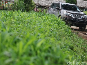 Nissan Terra Masih Tertatih-tatih Kejar Fortuner-Pajero Sport