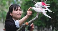 Mantan Perawat Jualan Popok Burung, Penghasilannya Rp 62 Juta Sebulan