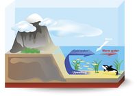 Fenomena upwelling (iStock)