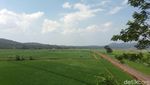 Terpesona Indahnya Pemandangan di Jalur Lingkar Ambarawa