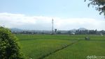 Terpesona Indahnya Pemandangan di Jalur Lingkar Ambarawa