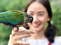 5 Manfaat Memelihara Burung di Rumah dan Tips Merawatnya dengan Baik