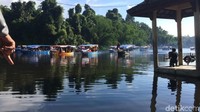 Di tengah danau terdapat pulau Nusa Gede yang dikelilingi pepohonan dan terdapat makam Prabu Hariang Kencana atau Sayyid Ali bin Muhammad bin Umar (Dadang Hermansyah/detikcom)
