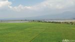 Terpesona Indahnya Pemandangan di Jalur Lingkar Ambarawa