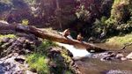 Foto: 2 Air Terjun Segar di Bandung Barat