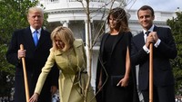 Foto-foto yang dijepret wartawan menunjukkan momen saat Trump dan Macron yang sama-sama memakai setelan jas, sambil memegang sekop, saat menanam pohon itu di halaman Gedung Putih. Foto: Photo by JIM WATSON/AFP