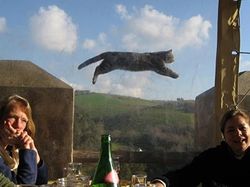 Cekrek! Foto-foto Kocak Hasil Jepretan pada Momen Tepat