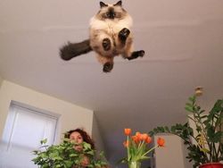 Cekrek! Foto-foto Kocak Hasil Jepretan pada Momen Tepat