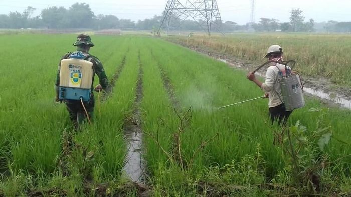Foto: Kementan Foto: Kementan