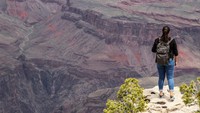 Mengapa Taman Nasional Grand Canyon begitu populer? Hal ini disebabkan oleh keindahannya. Bayangkan, kamu berdiri di atas ngarai dengan pemandangan indah yang tanpa batas (AFP)