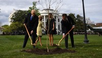 Trump dan Macron didampingi istri masing-masing, Melania Trump dan Brigitte Macron, saat prosesi penanaman pohon dilakukan di hadapan sorotan kamera wartawan. Pohon oak itu merupakan hadiah dari Macron untuk Trump saat dia melakukan kunjungan kenegaraan ke AS saat itu. Foto: Photo by JIM WATSON/AFP