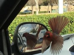 Cekrek! Foto-foto Kocak Hasil Jepretan pada Momen Tepat