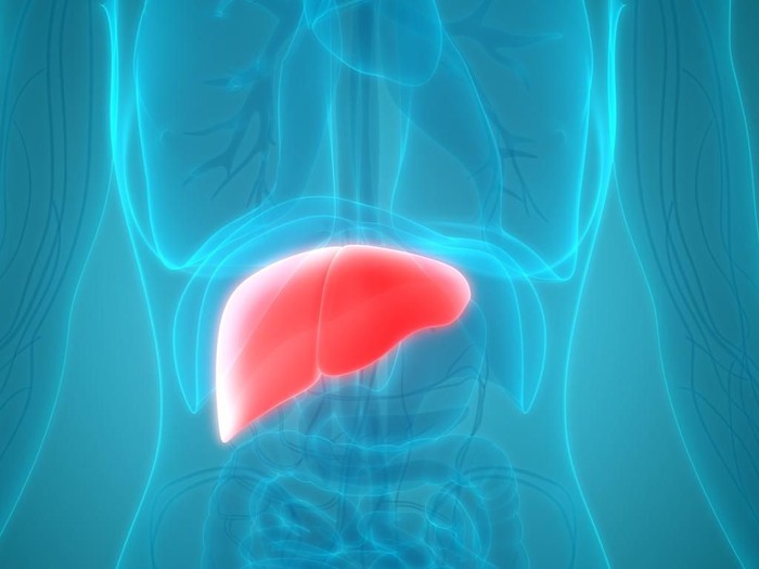 Serba-serbi Penyakit Liver yang Harus Dipahami/Foto: istock Serba-serbi Penyakit Liver yang Harus Dipahami/Foto: istock