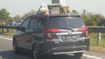 Jangan Diulang! Mudik Bawa Barang di Atas Mobil Hanya dengan Tali