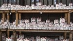 Maneki Neko, Si Kucing Pembawa Keberuntungan dari Jepang