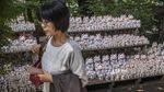 Maneki Neko, Si Kucing Pembawa Keberuntungan dari Jepang