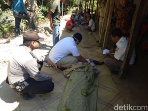 Warga Wonogiri Tewas Tertimpa Pohon Kelapa yang Ditebangnya