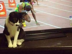 Cekrek! Foto-foto Kocak Hasil Jepretan pada Momen Tepat