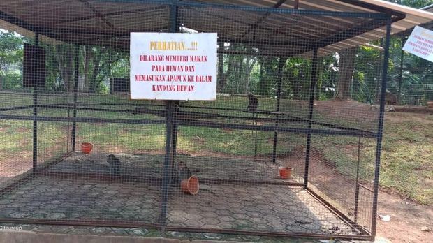 Mini Zoo Kostrad yang Viral karena Kotor Kini Sudah Dibersihkan