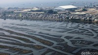 Sepertiga luas Waduk Pluit, Jakarta Utara, mengalami pendangkalan.