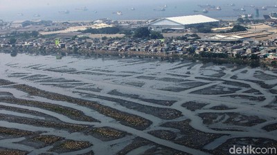 Waduk Pluit Alami Pendangkalan, Begini Kondisinya