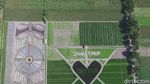 Foto: Crop Circle Viral dari Kediri