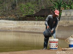 Harga Air Mahal, Warga Wonogiri Pilih Tempuh Belasan Kilometer ke Telaga