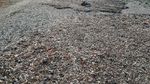 Pasca Lebaran, Volume Sampah di Pantura Capai 500 Ton Per Hari
