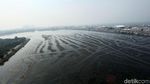 Waduk Pluit Alami Pendangkalan, Begini Kondisinya