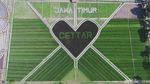 Foto: Crop Circle Viral dari Kediri