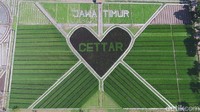 Fenomena Crop Circle di area persawahan seluas 2,1 hektar bukanlah buatan alien, melainkan kreasi dari kelompok tani (Poktan) Citarum Raharja 2. (Andhika Dwi/detikcom)