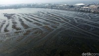 Dinas SDA juga telah mengerahkan 6 unit eskavator amfibi dan rencananya akan ditambah jumlahnya menjadi 13 unit untuk memaksimalkan pengepokan sedimen di kawasan Waduk Pluit. Adapun metode pengepokan dilakukan dengan cara mengeruk secara estafet menuju pinggir waduk untuk selanjutnya diangkat maupun dibentuk menjadi tanggul.