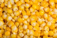 Cegah Anemia, Jagung Enak Diolah Jadi Salad Hingga Sup Krim