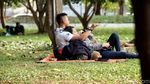 Menikmati Sore di Kawasan Taman Waduk Pluit