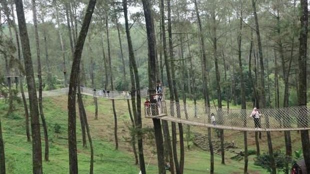 Orchid Forest Cikole