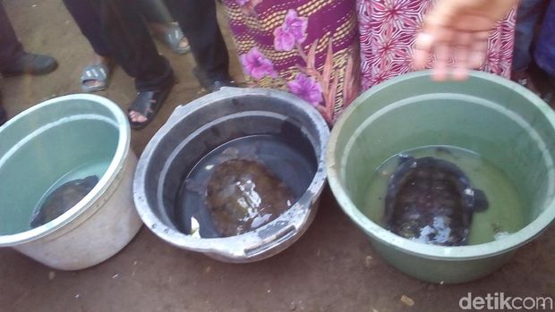 Tradisi Kupatan Bulusan di Kudus. 