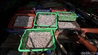 Saat proses penjemuran, pekerja pengolahan ikan asin akan membolak-balik ikan agar kering secara merata dan sempurna.