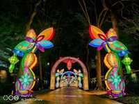 Pakai vivo V15 untuk Foto Malam, Simak Tips Agar Lebih Maksimal